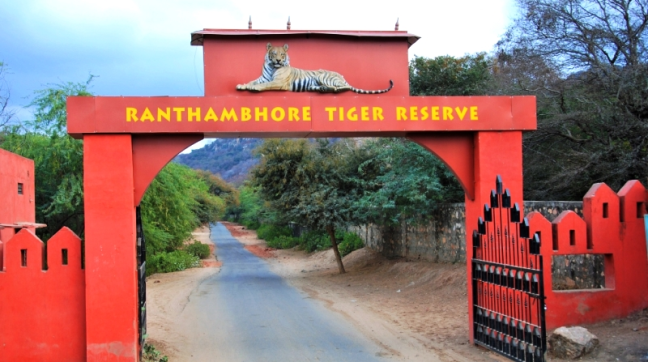 Ranthambore National Park entrance gate with lush green forest and safari vehicles