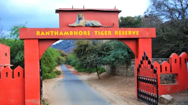 Ranthambore National Park entrance gate with lush green forest and safari vehicles